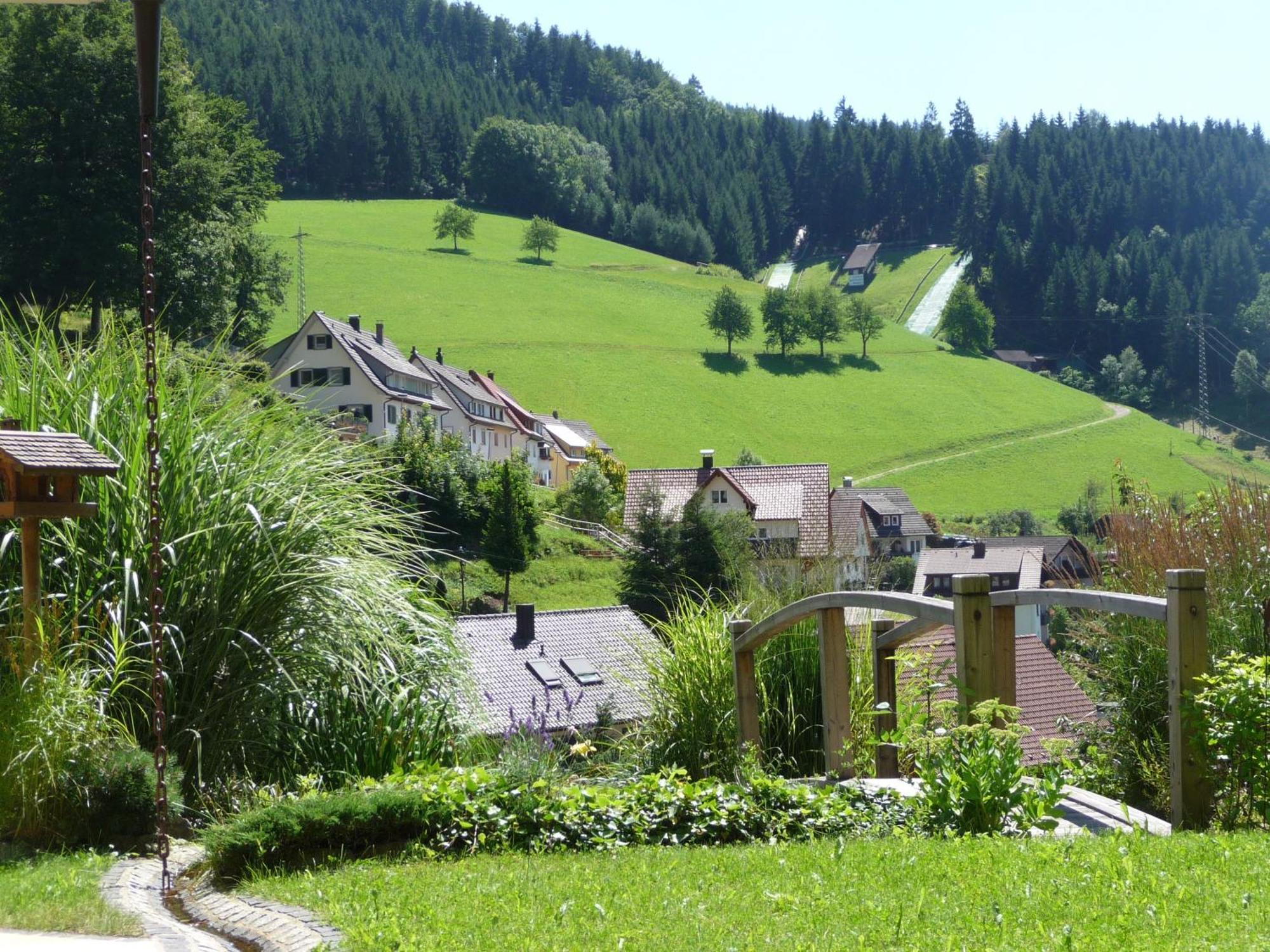 Flair Hotel Adlerbad Bad Peterstal-Griesbach Exterior foto