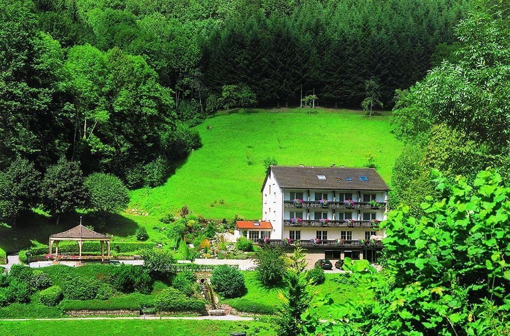 Flair Hotel Adlerbad Bad Peterstal-Griesbach Exterior foto