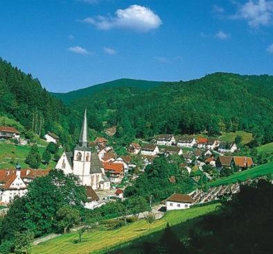 Flair Hotel Adlerbad Bad Peterstal-Griesbach Exterior foto